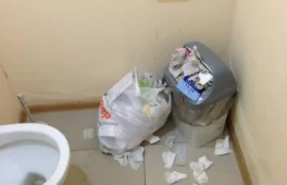 автопаркинг олимп фотография 2